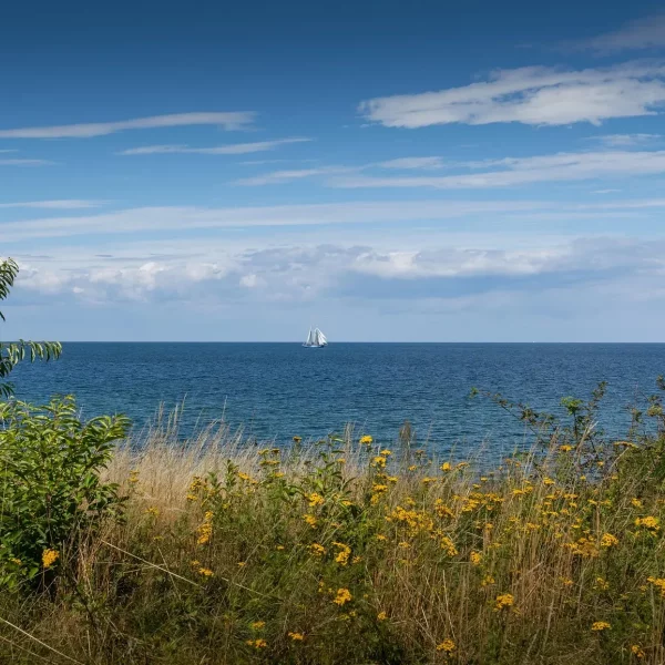 Quern - Flensburger Förde