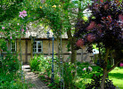 Judies Garten