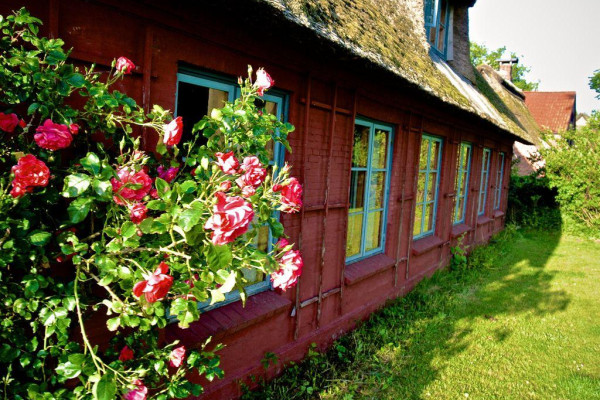 Landwohnung 
