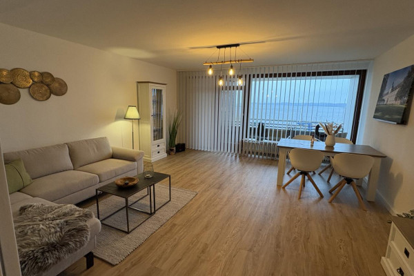 Schlei Möwe mit Schleiblick in Schleswig