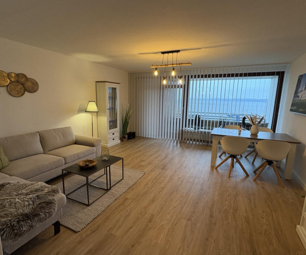 Schlei Möwe mit Schleiblick in Schleswig