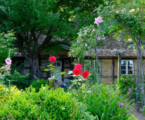 Judies Cottage