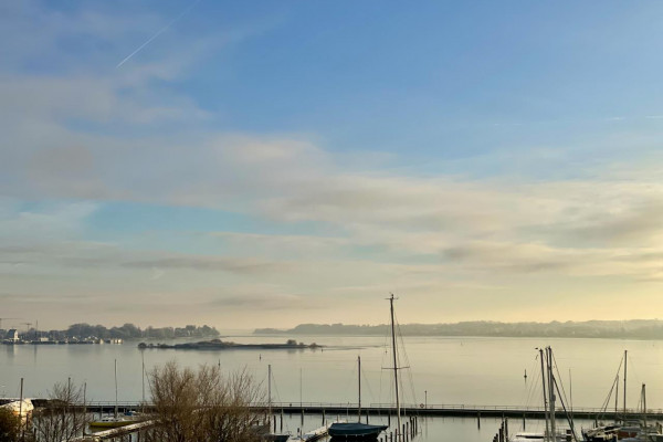 Schlei Möwe mit Schleiblick in Schleswig