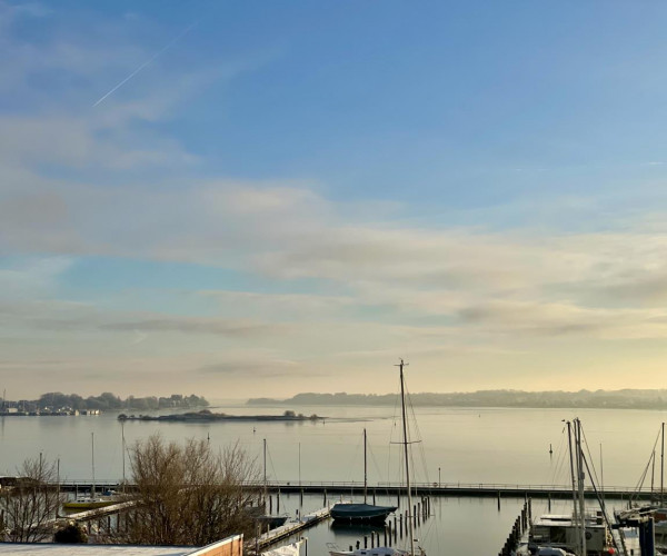 Schlei Möwe mit Schleiblick in Schleswig