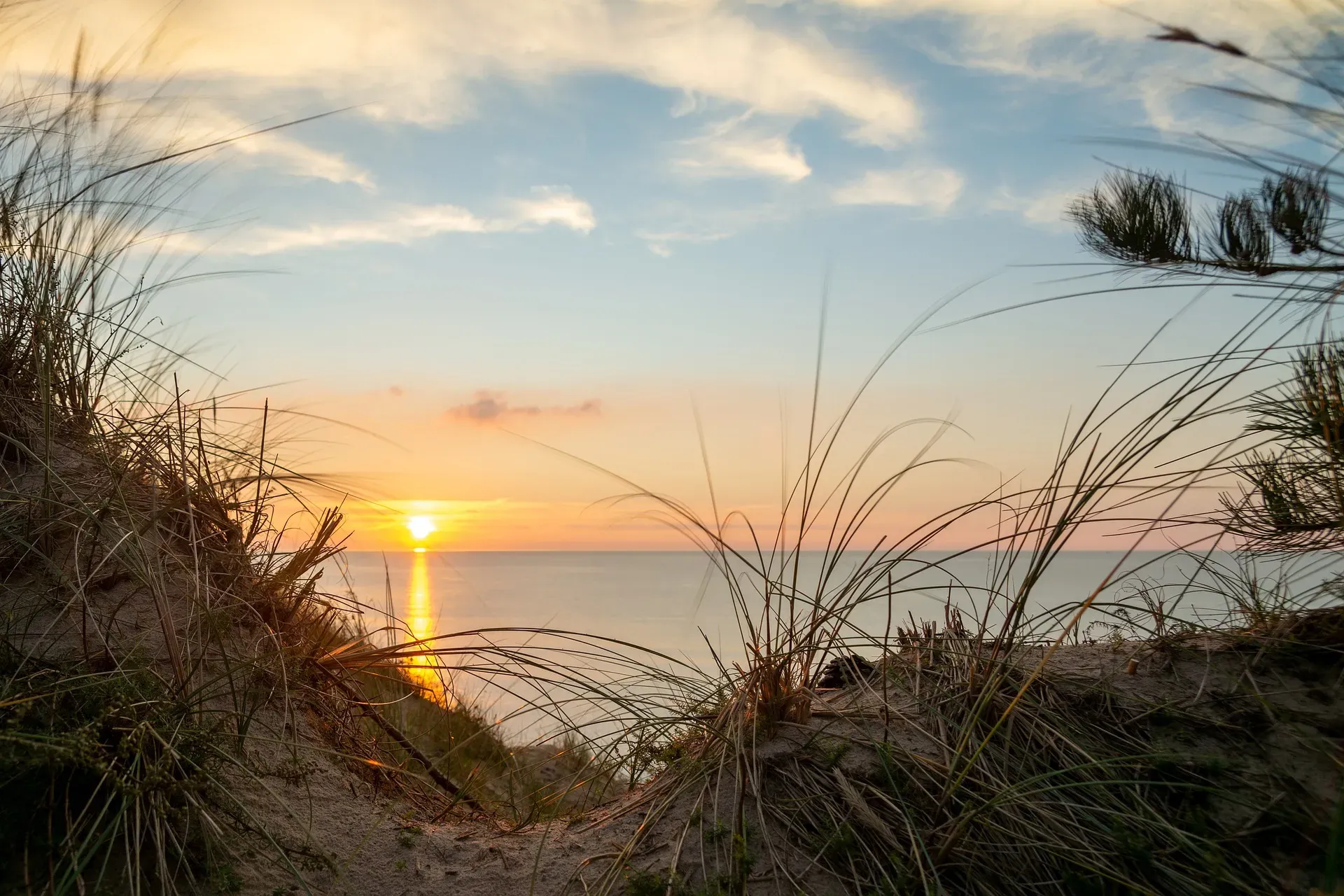 Fallback Region Image