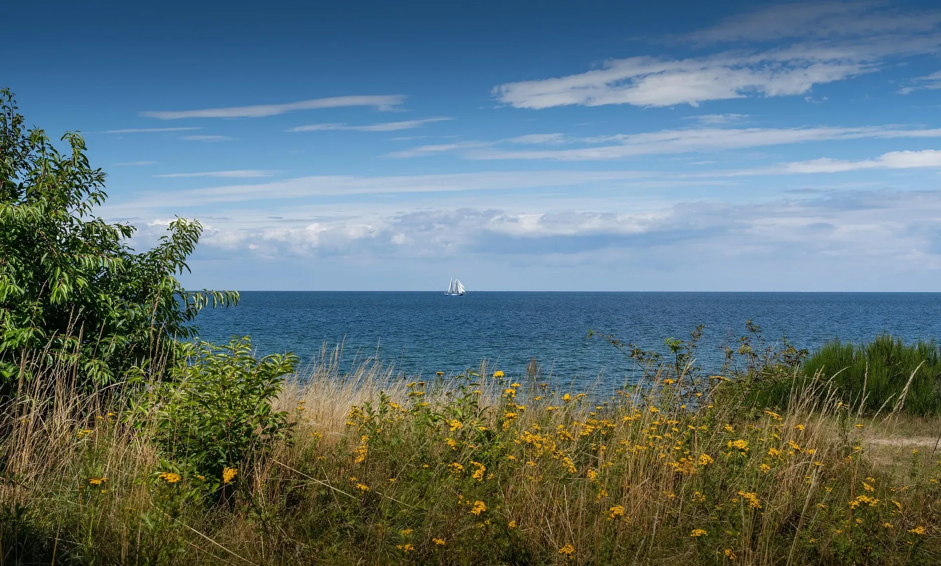 Fallback Region Image